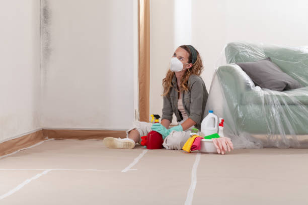 Reliable Basement Mold Remediation contractor in Hillsdale, MI by 24 Hour Mold Removal